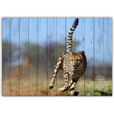 Картины Африка - Леопард, Африка, Creative Wood