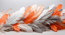 3D обои с рисунком перья Design Studio 3D Feathers AG-FT-013