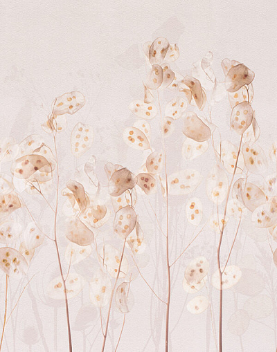 Фотообои 34305, Memoria, Marburg