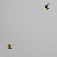 Обои с пчелами Andrea Rossi Cavolli 54419-2