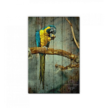 Панно с изображением птиц Creative Wood ZOO ZOO - 6 Попугай