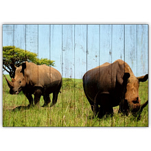 Creative Wood Африка Африка - Носороги
