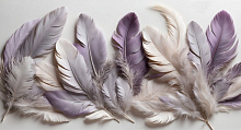 3D обои с рисунком перья Design Studio 3D Feathers AG-FT-005